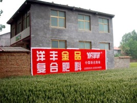 平和如何让墙体广告展现最大化效果