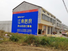 平和农村墙体广告在不同形式上面展现的不同特色